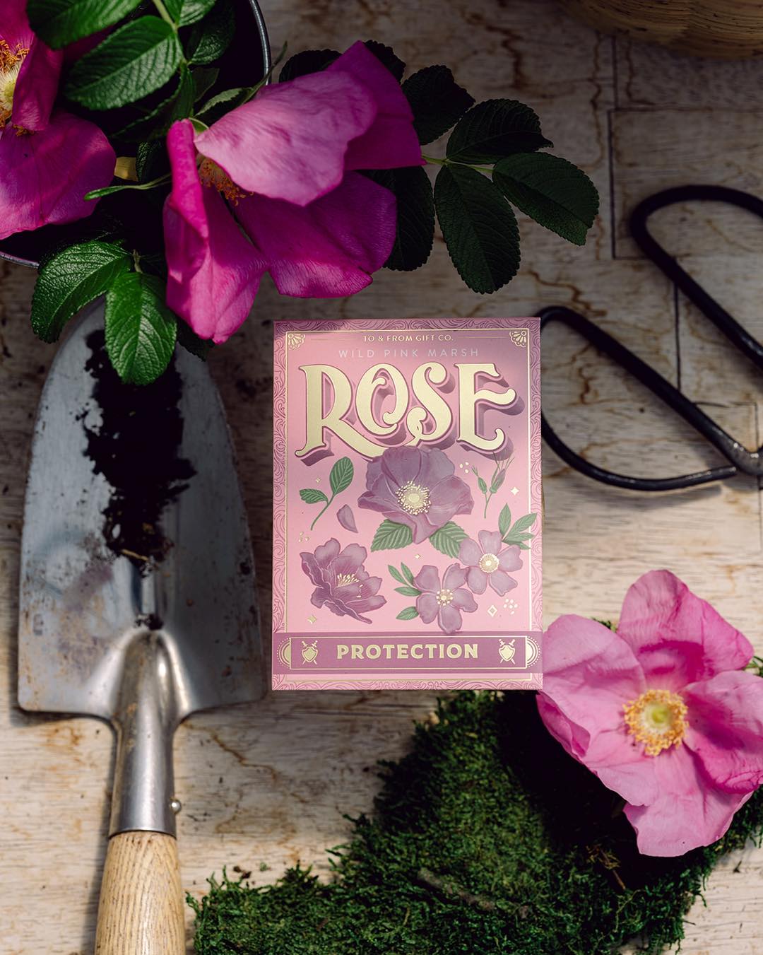 Wild Pink Marsh Rose (Protection) - Seed Packet